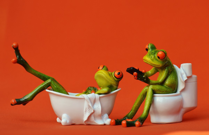 toads in the bathroom